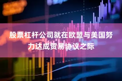 股票杠杆公司　　就在欧盟与美国努力达成贸易协议之际