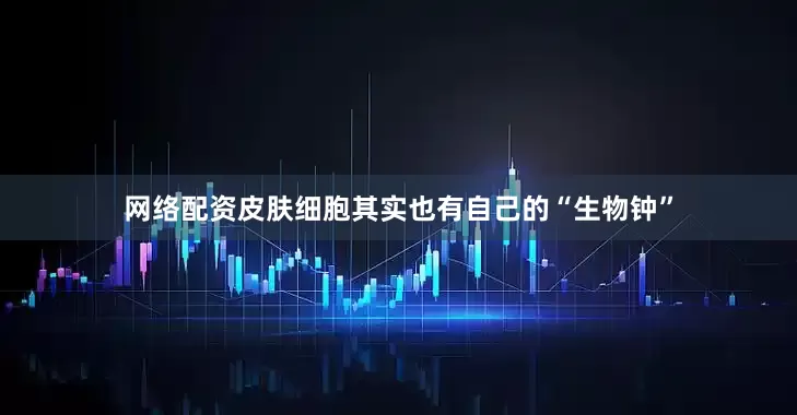 网络配资皮肤细胞其实也有自己的“生物钟”