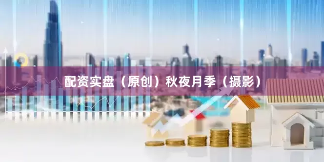 配资实盘（原创）秋夜月季（摄影）